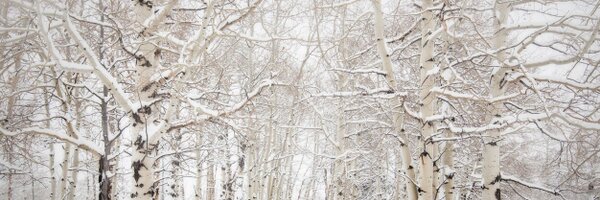 archiedo247 Profile Banner