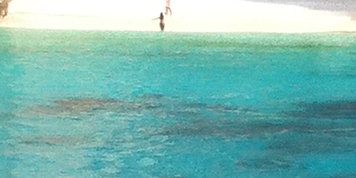 Reindert Reinders banner