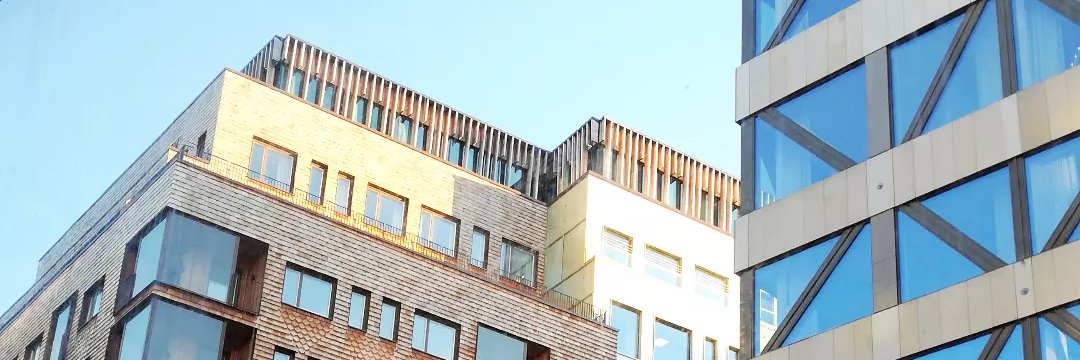 ellensev's profile banner image