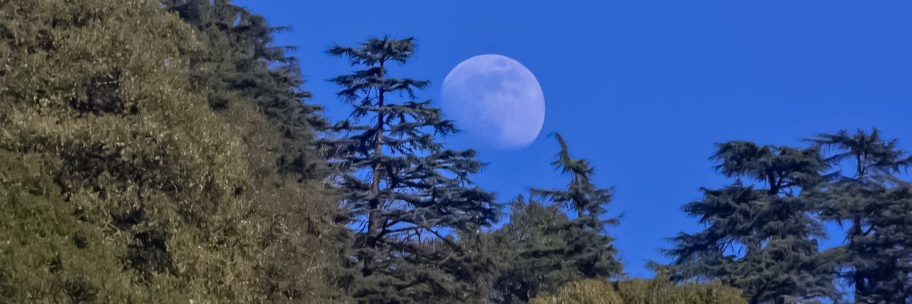 amitgupta75's profile banner image