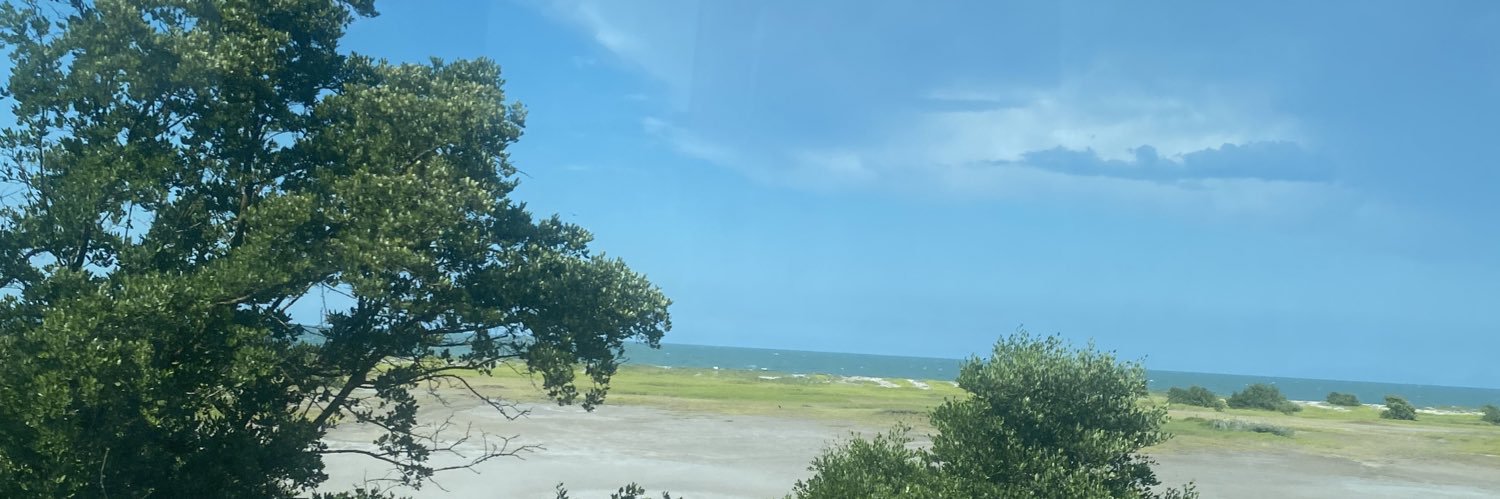 TiniGutierrezB's profile banner image