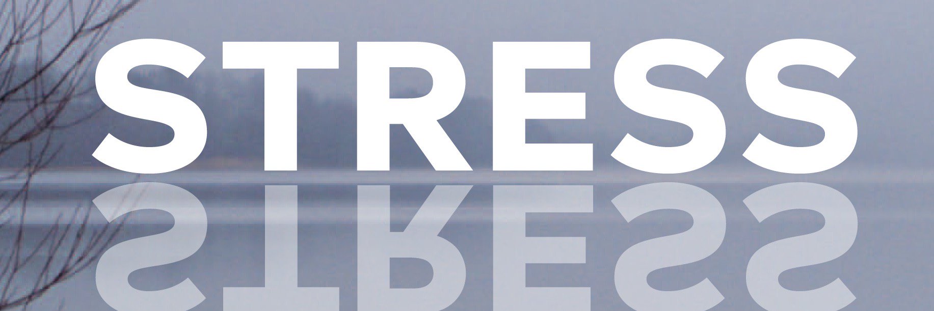 thomasmilsted's profile banner image