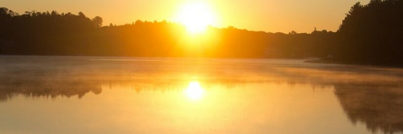 sos40433633's profile banner image