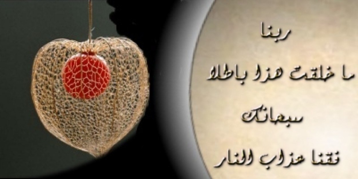 Q8Amel's profile banner image