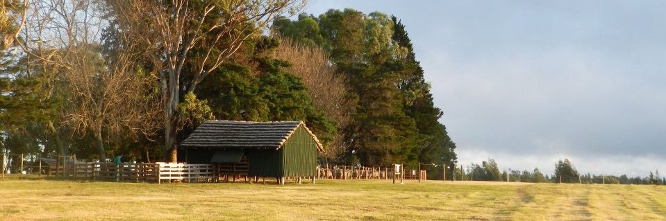 Marcela García Pintos banner