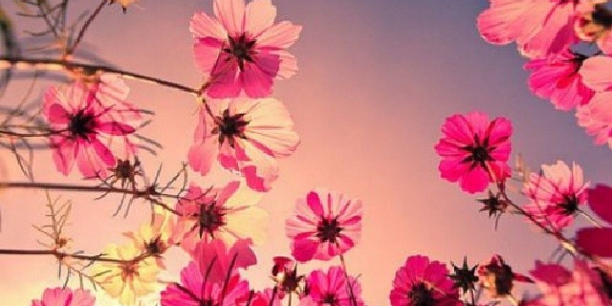 _89Reem's profile banner image