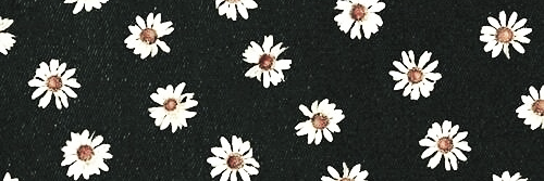 Phoevnix's profile banner image