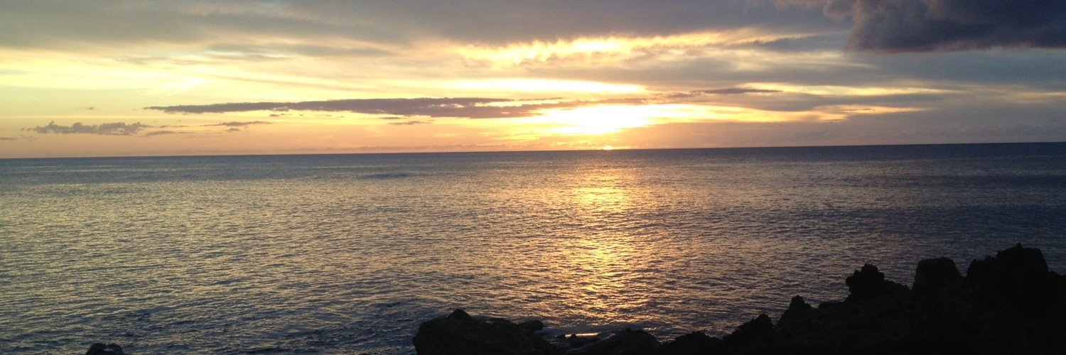 savbai's profile banner image