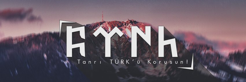 gunhantopcuoglu's profile banner image