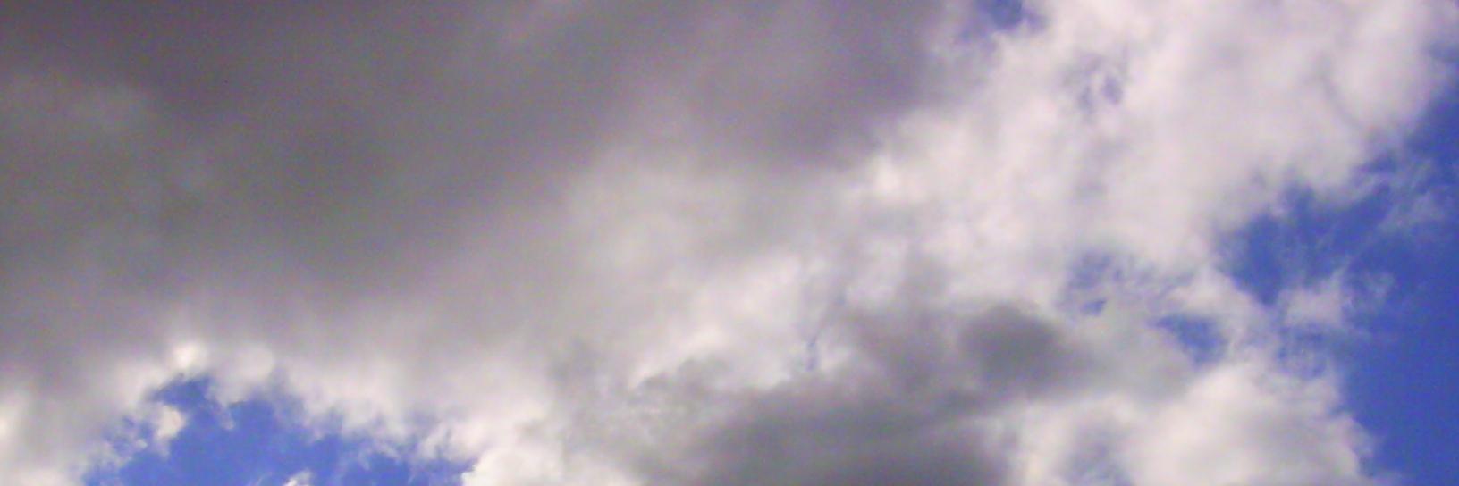 Algotezza's profile banner image