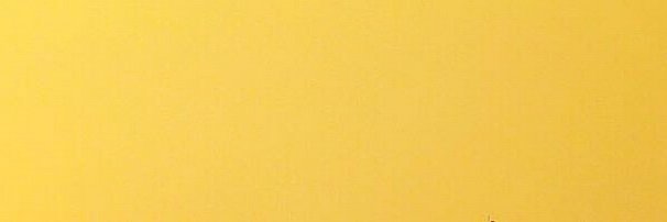 Ruslan Dodd (✱,✱) | ETHGas ⛽ banner