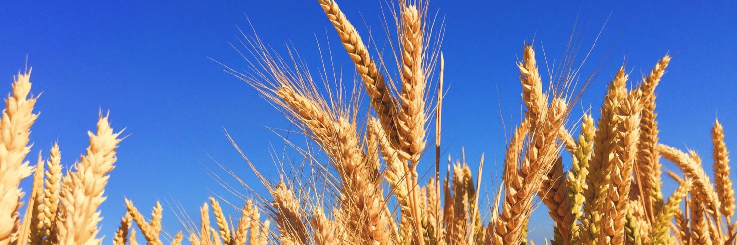 ShilohFarms's profile banner image