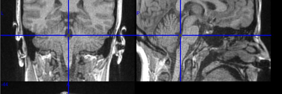 Benedetta Franceschiello 🏳️‍🌈 - 🔬 - ⛰ - 🧘🏼‍♀️ banner