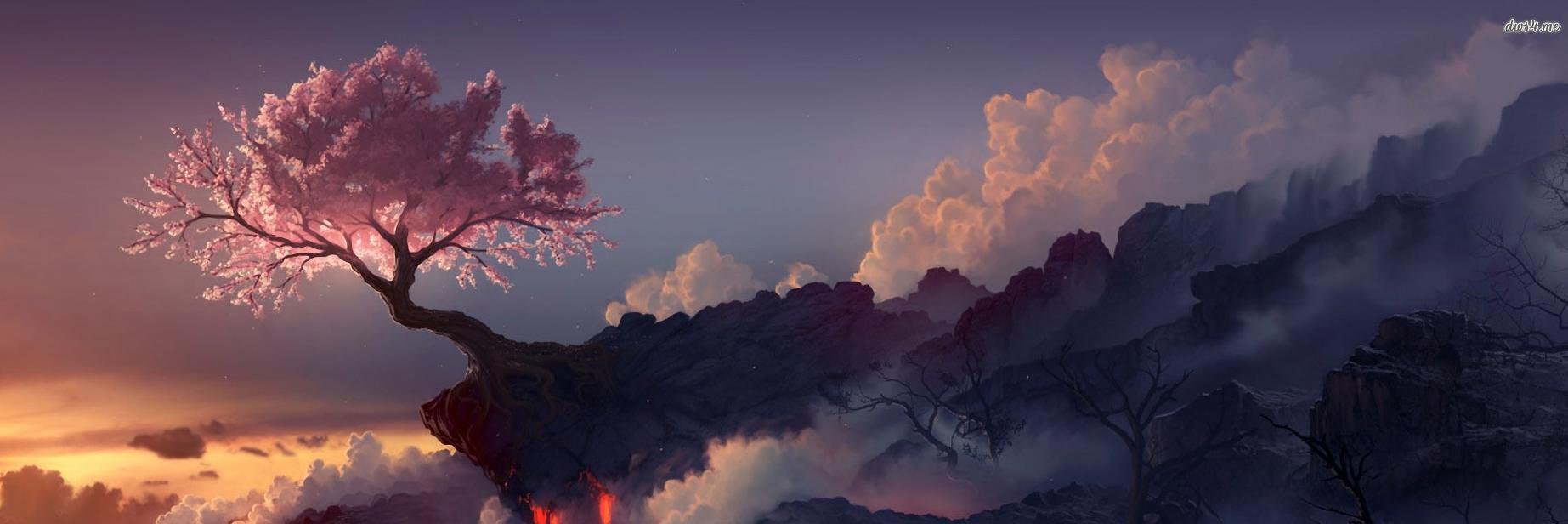 PeytonReuben's profile banner image