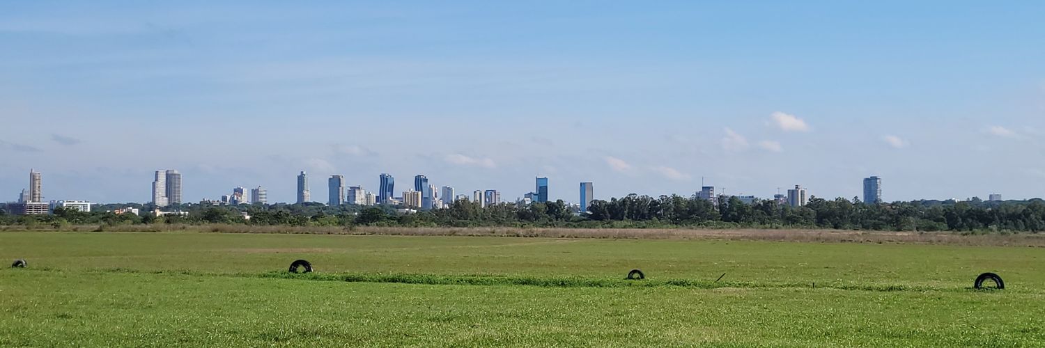 Flopi Guggiari banner