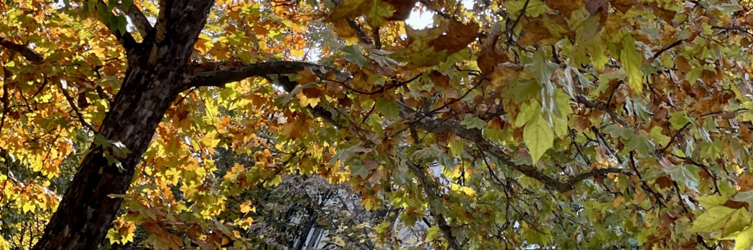 aj2152's profile banner image