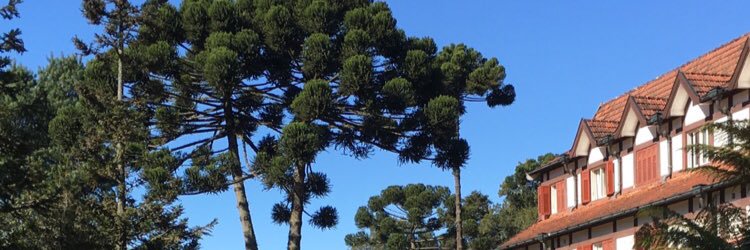 SyyJunior's profile banner image