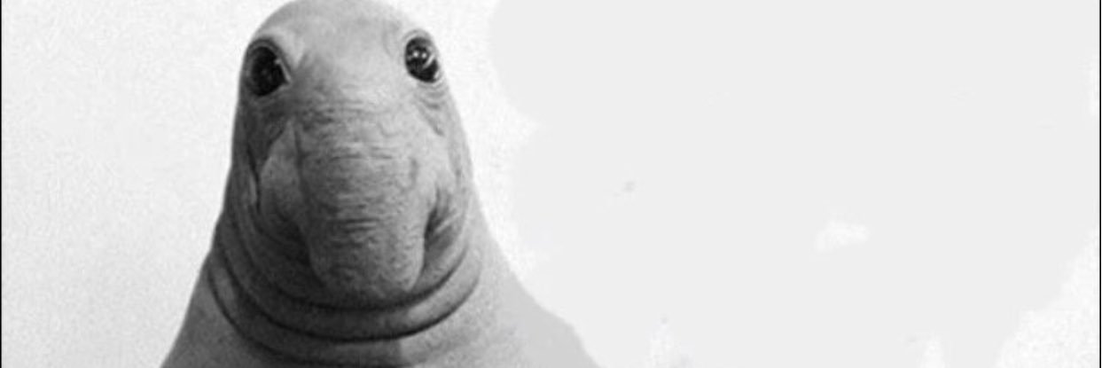 VSwervo99's profile banner image