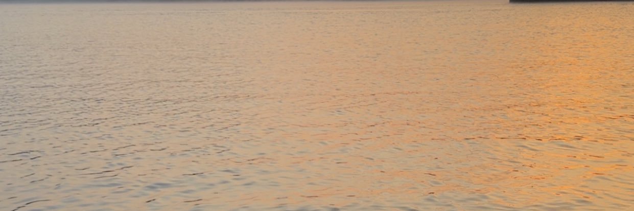 AlecoLam's profile banner image