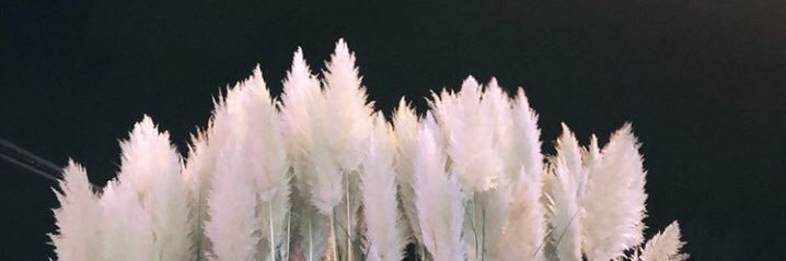 tasmeliike's profile banner image