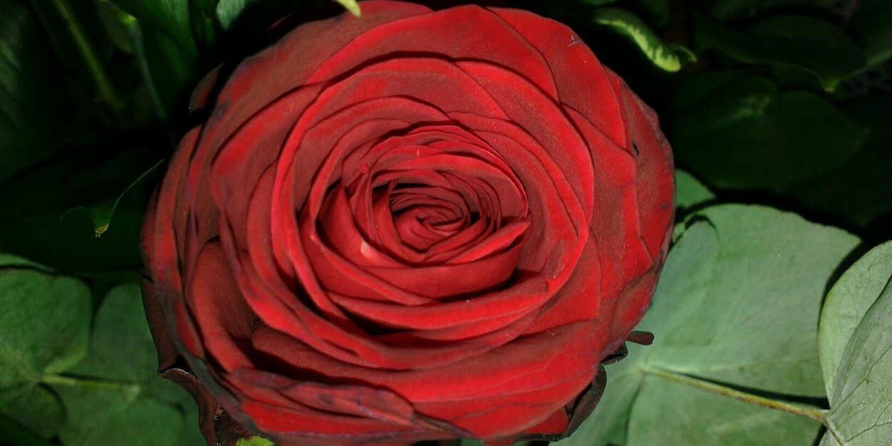 J8ojop's profile banner image