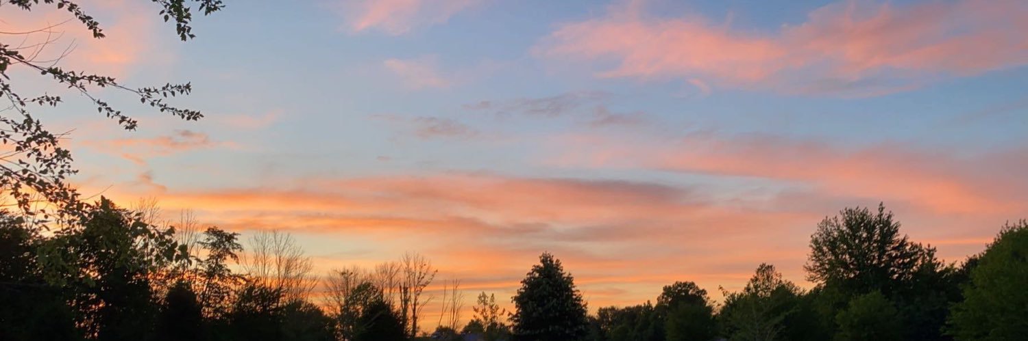 MiaMiller8's profile banner image