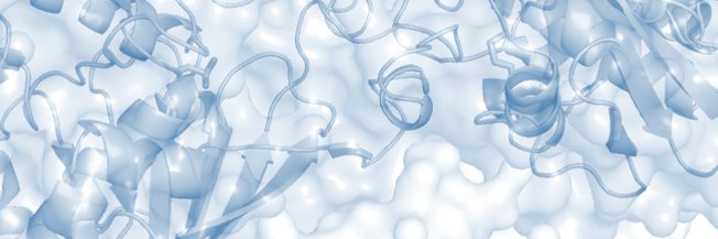 paotrost's profile banner image