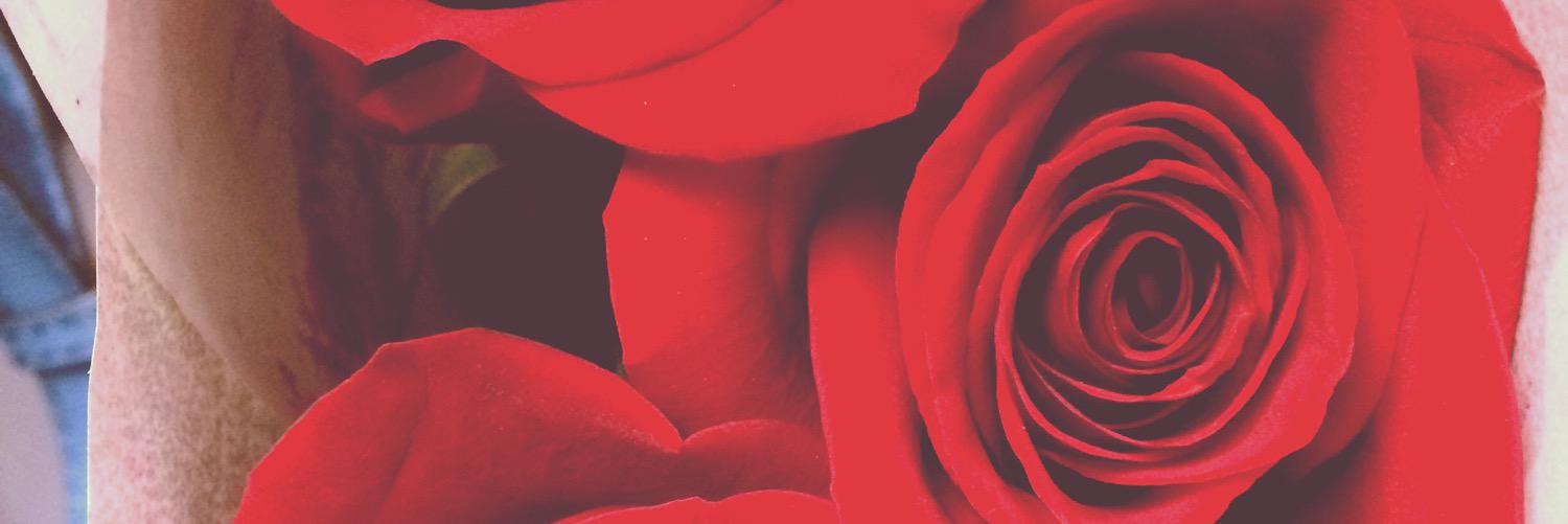 Coniiwe's profile banner image