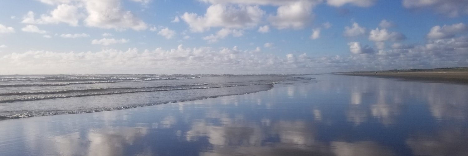 Beckeckeck's profile banner image