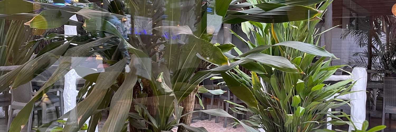 JadeKM_x's profile banner image