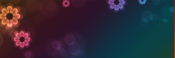 _9502408895002's profile banner image
