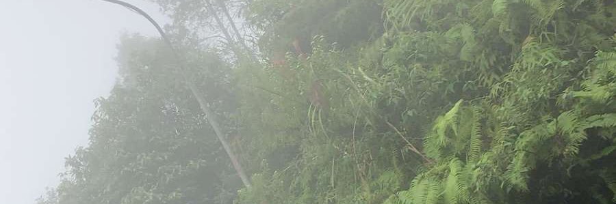Drie_9's profile banner image