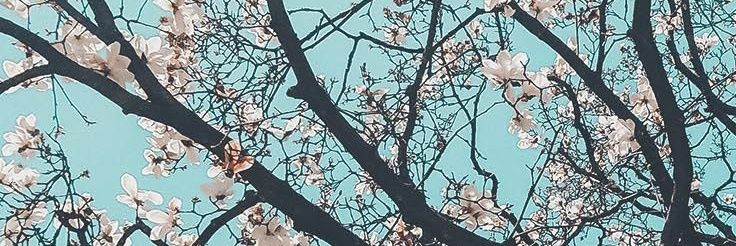 jessstormborn's profile banner image