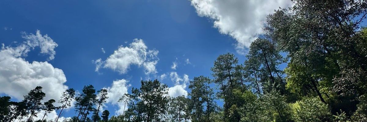 _rjt96's profile banner image