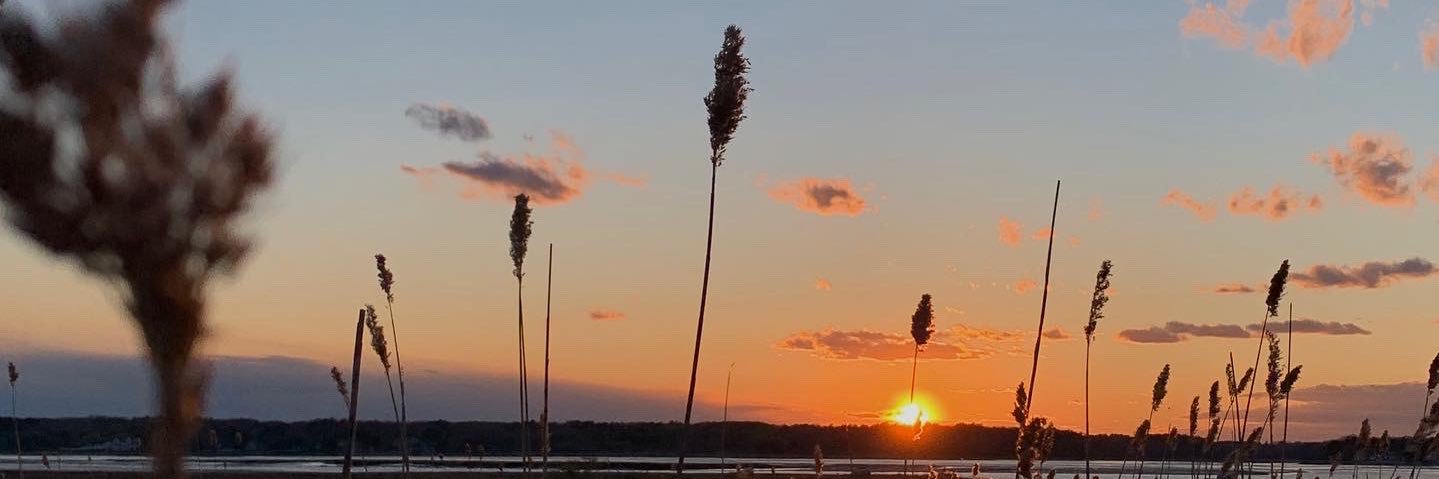 juliabusiere's profile banner image