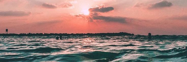 allisonboylee's profile banner image