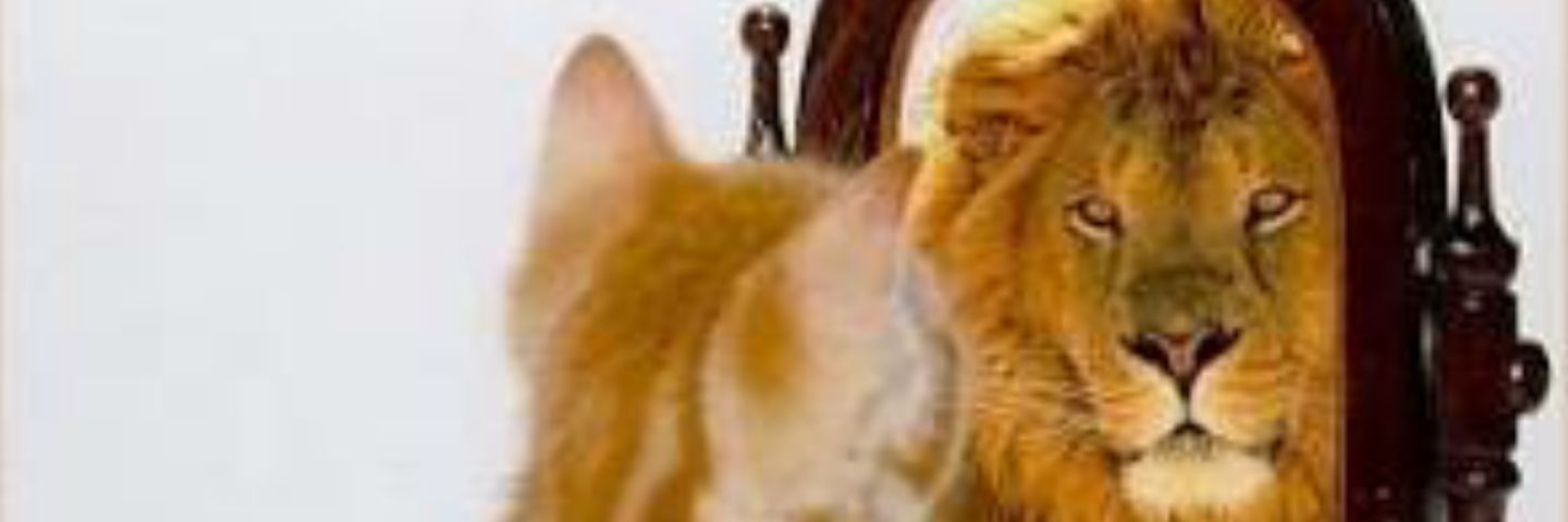 SebastianRodea's profile banner image