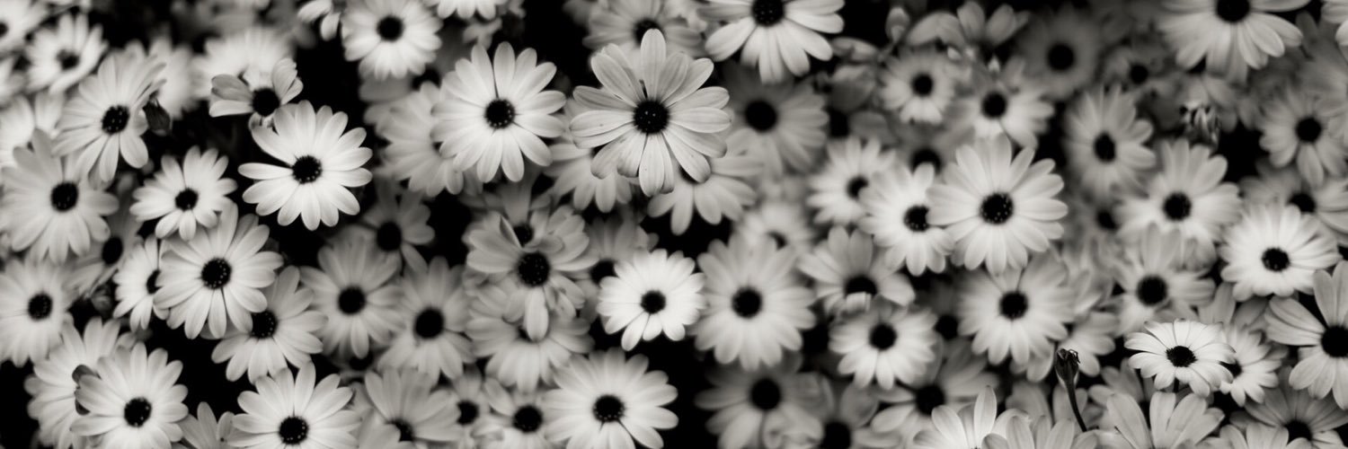 katiebug_1995's profile banner image