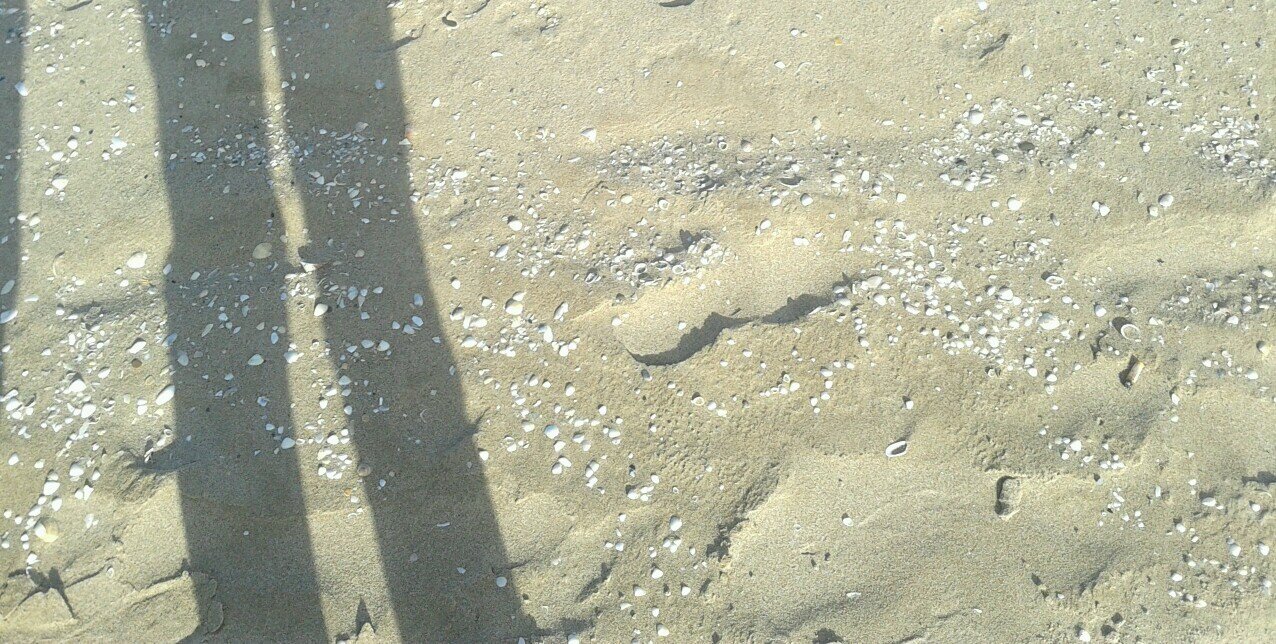 Albert Moncusí Ferré banner