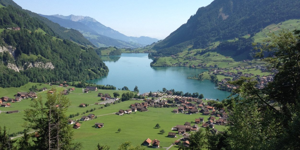 تغريدات مختارة banner