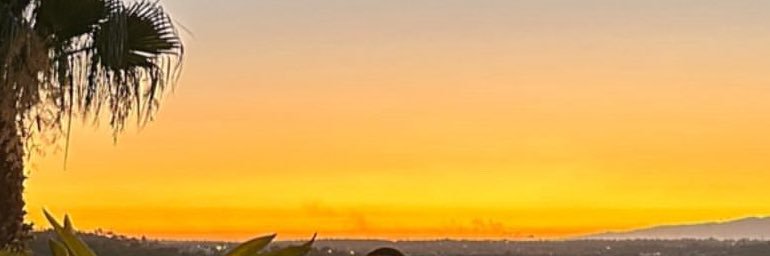 Enjoyyy u 🦋 banner