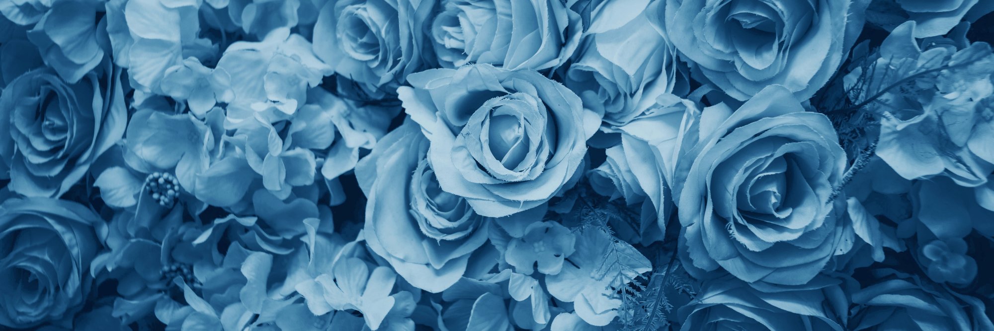 caamilavasquez's profile banner image