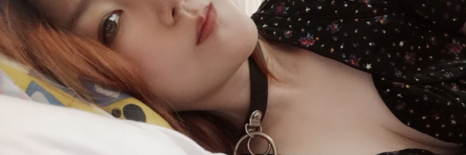 ragdoll666's profile banner image