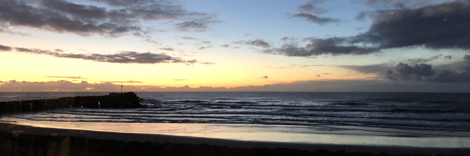 camifernandini's profile banner image