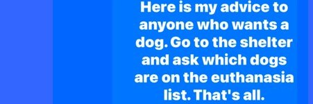 Experts rock - we can do this together! 🌎🐕🐈‍⬛🦅 banner