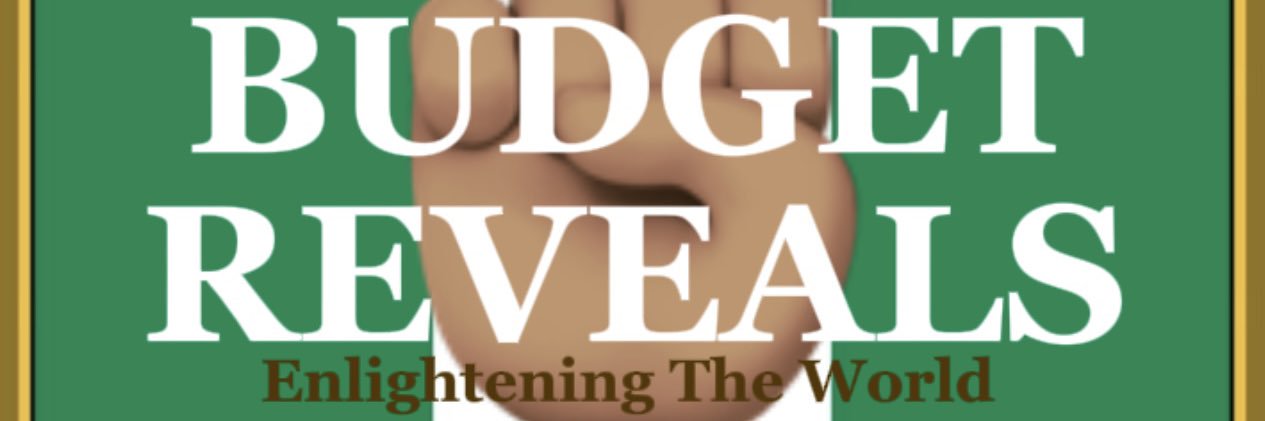 Budget banner