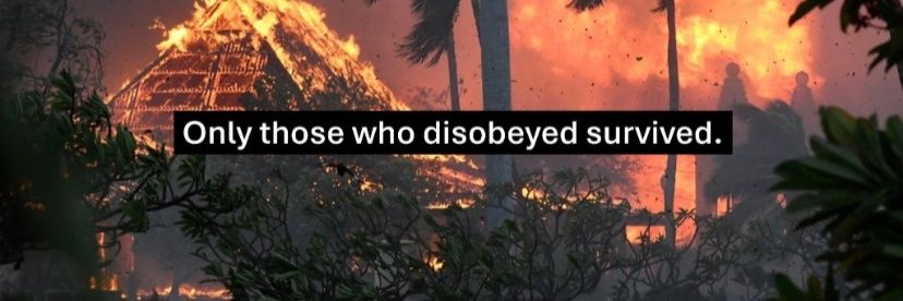 WhiteRussianSpy's profile banner image