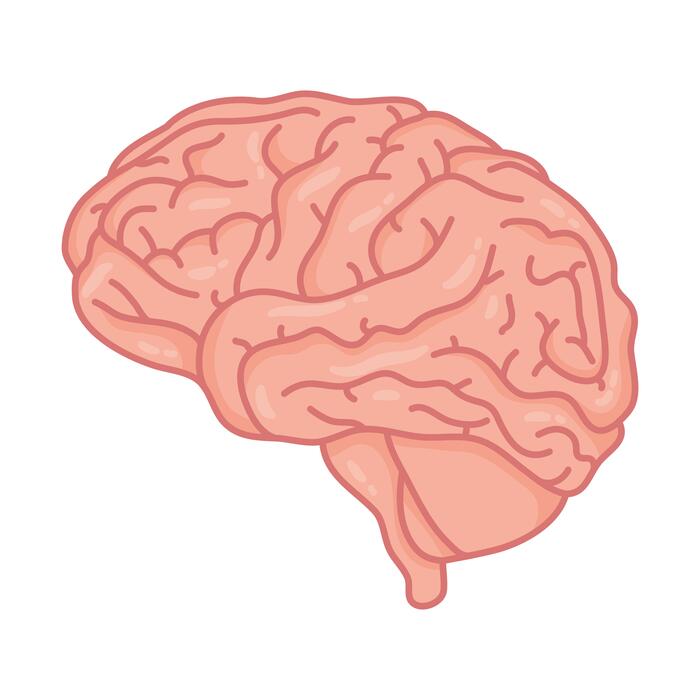 JusBallEsVida's profile banner image