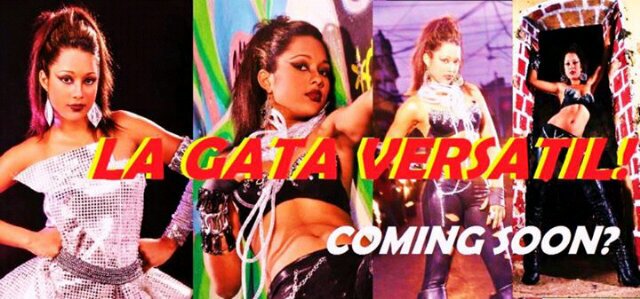GataVersatil's profile banner image