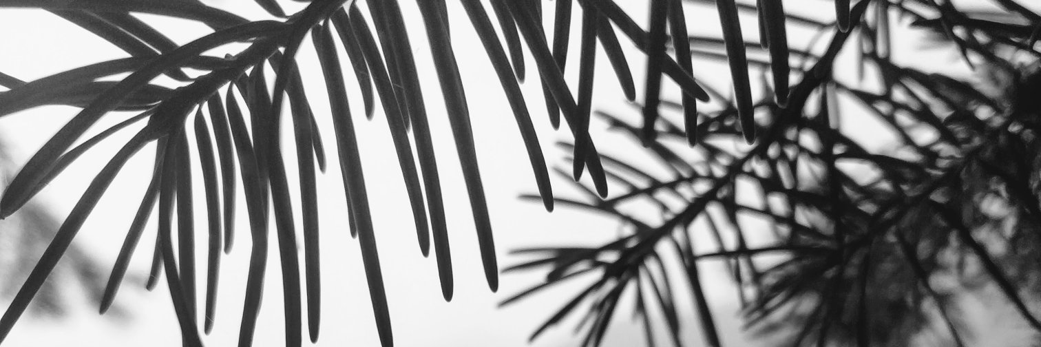 CoughlanClimate's profile banner image